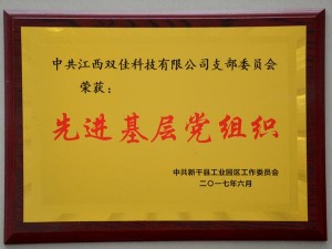 2017先進(jìn)基層黨組織