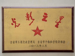 光彩之星2013年3月