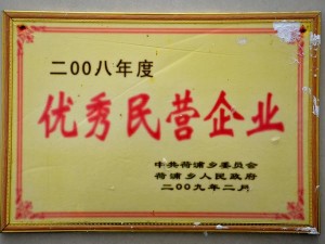 2008年度優(yōu)秀民營企業(yè)