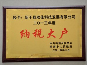 2013年度納稅大戶